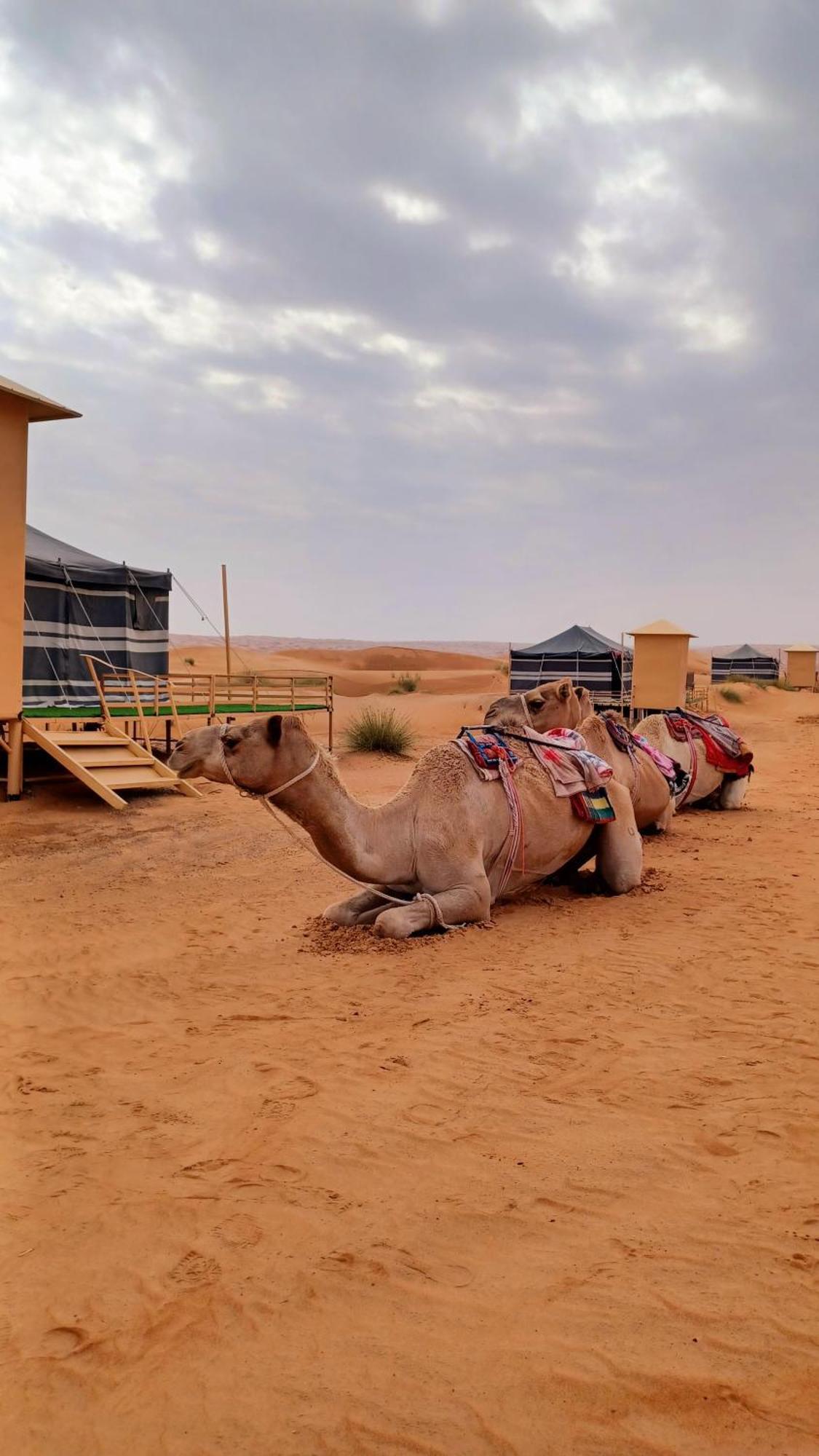 Sunrise Desert Local Private Camp Hotell Badīyah Exteriör bild